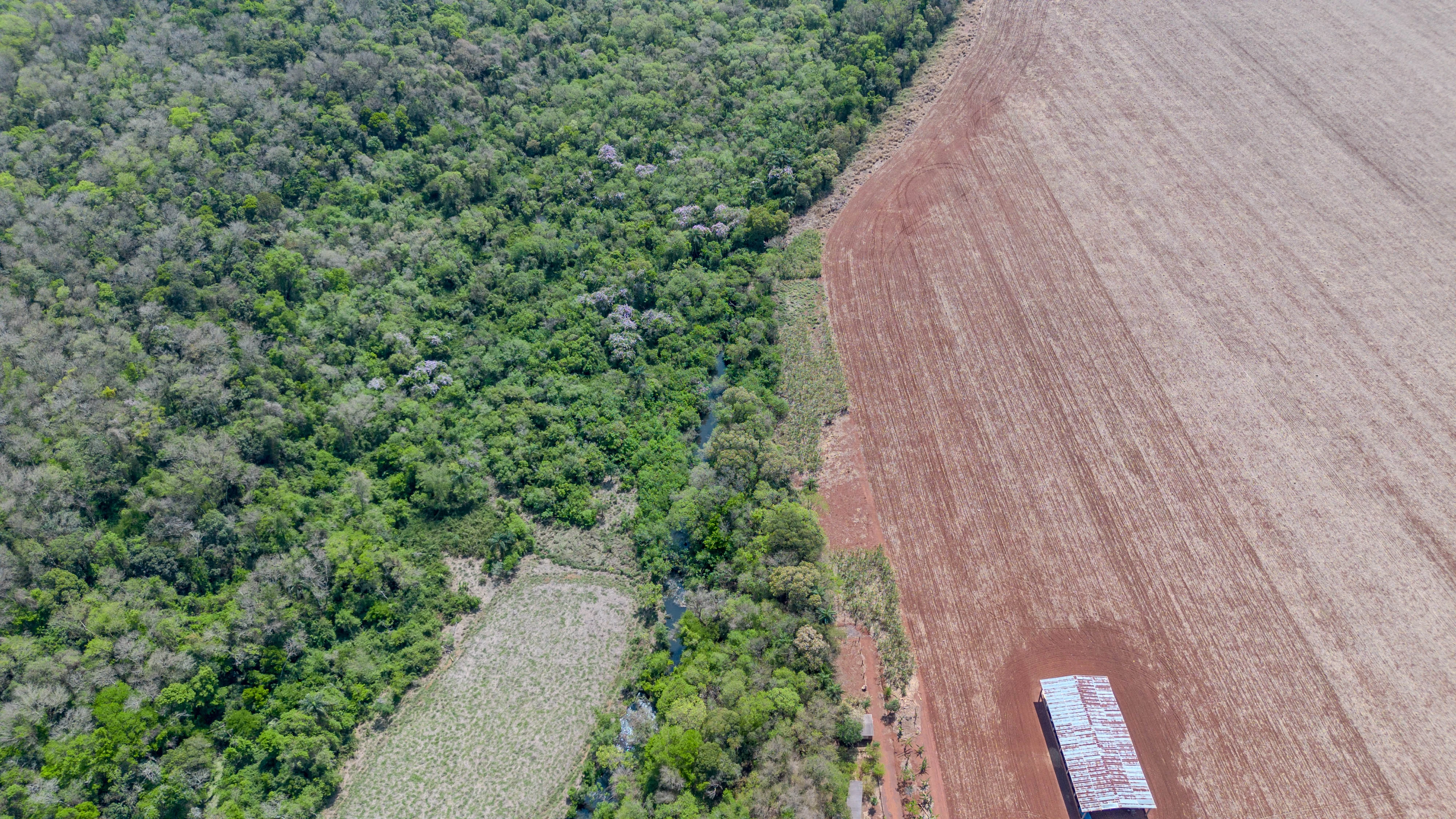 DJI_0687